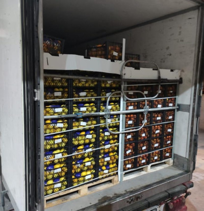 Наши перевозки